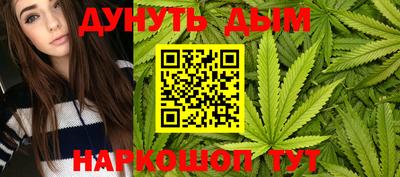 сатива Бузулук