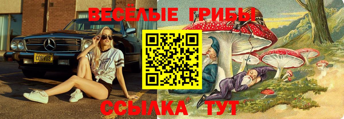 Галлюциногенные грибы мухоморы  Вход с VPN  Самара 