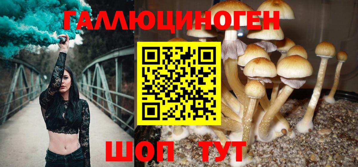 Галлюциногенные грибы Cubensis Самара
