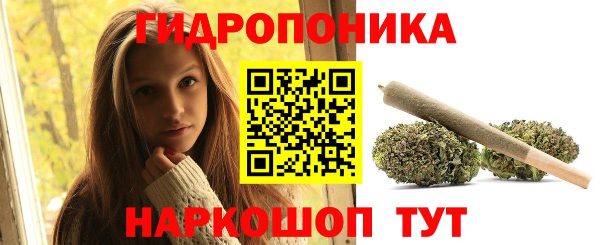 Марихуана OG Kush Самара